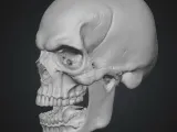 Terrifying Skull Head-2