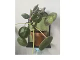 Wall shelf Boho - MOKA Design-1