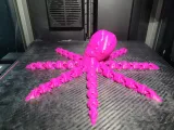 Flexi Octopus-3