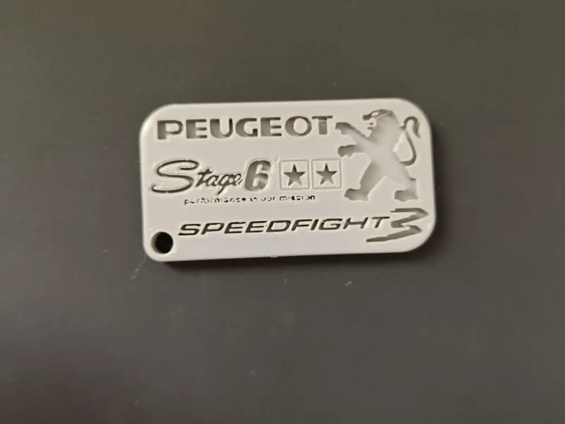 Peugeot Speedfight Anhänger mit Stage6 Logo