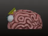 FlutterBrain the Quirky Planter 🪴🌱🌿🧠-2