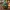 Pulpo Tropical “Good Vibes” – Llavero Veraniego STL