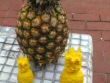 Pineapple-0