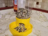 Squirrel Feed Bowl-1