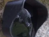 Blink Camera Hood-0