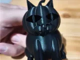 PumpCat - ChatCitrouille-0