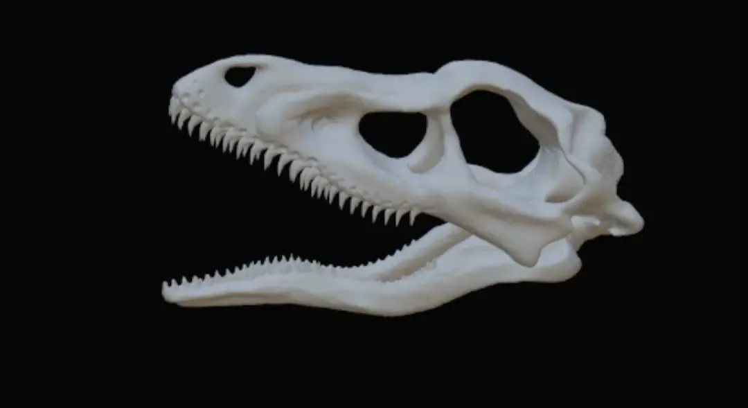velociraptor skull