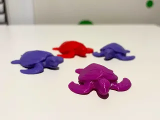 Mini Turtle