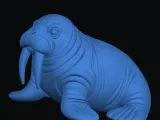 Walrus-1