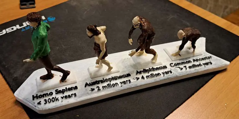 Los monos de Darwin