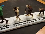 Darwin's Monkeys-6