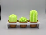 Cactus décor-0