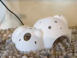 Fish Cave-1