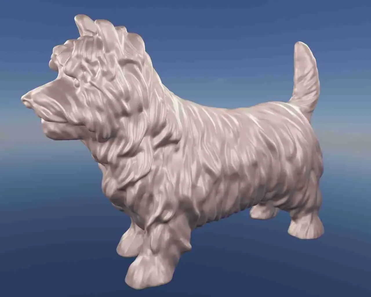 Dog Yorkshire terrier