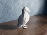 Low Poly Puffin Bird-4