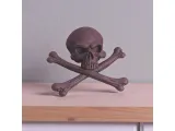 Bones & Skull-1