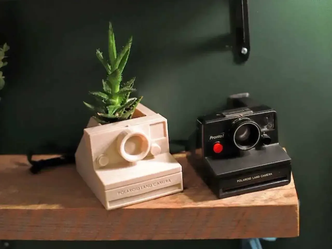 Polaroid instant One-step planter