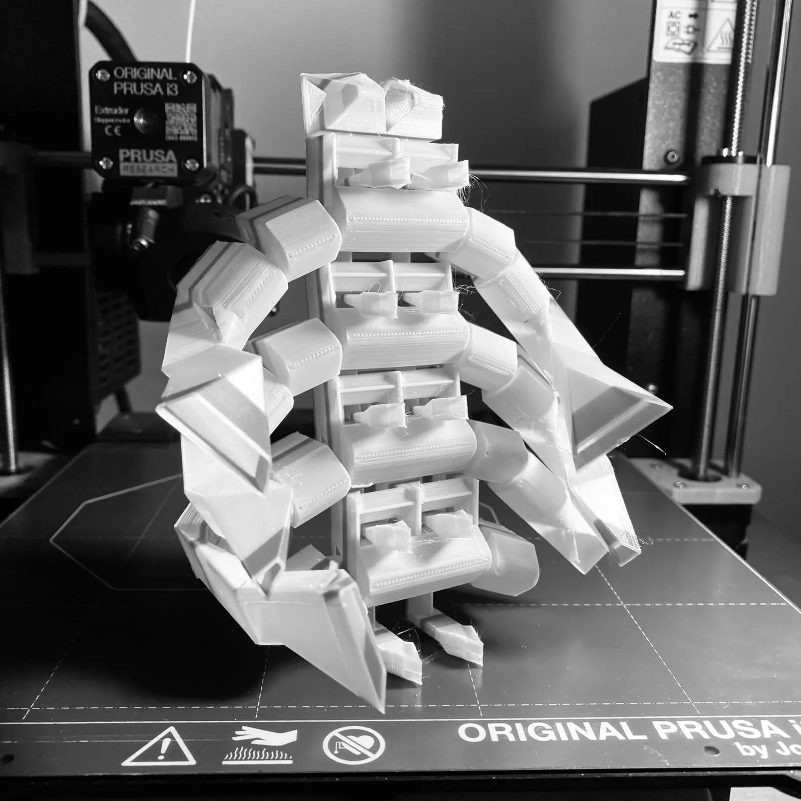 Lizguard Robot