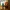 Funko Pop 罗恩·韦斯莱水豚
