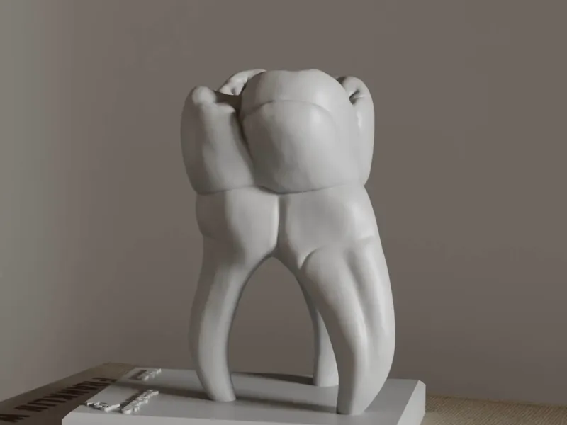 Anatomy of Moral Tooth