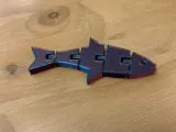 Flexi Fishy-0