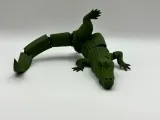 Alligatore Articolato-4