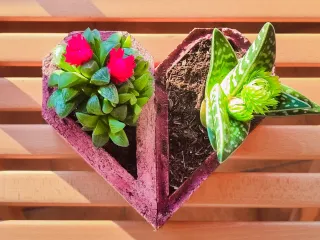 Heart-pots