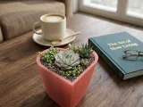 Heart Container Duo with Drainage and Storage Versions-6