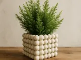 Pot Bubble -MOKA Design-2