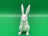 Hase-3