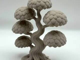Bonsai Decoration