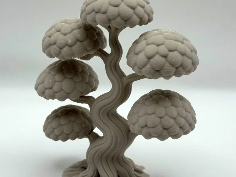 Bonsai Decoration