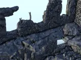Ruined urban building 10 - WW2 Terrain scenery diaroma-8