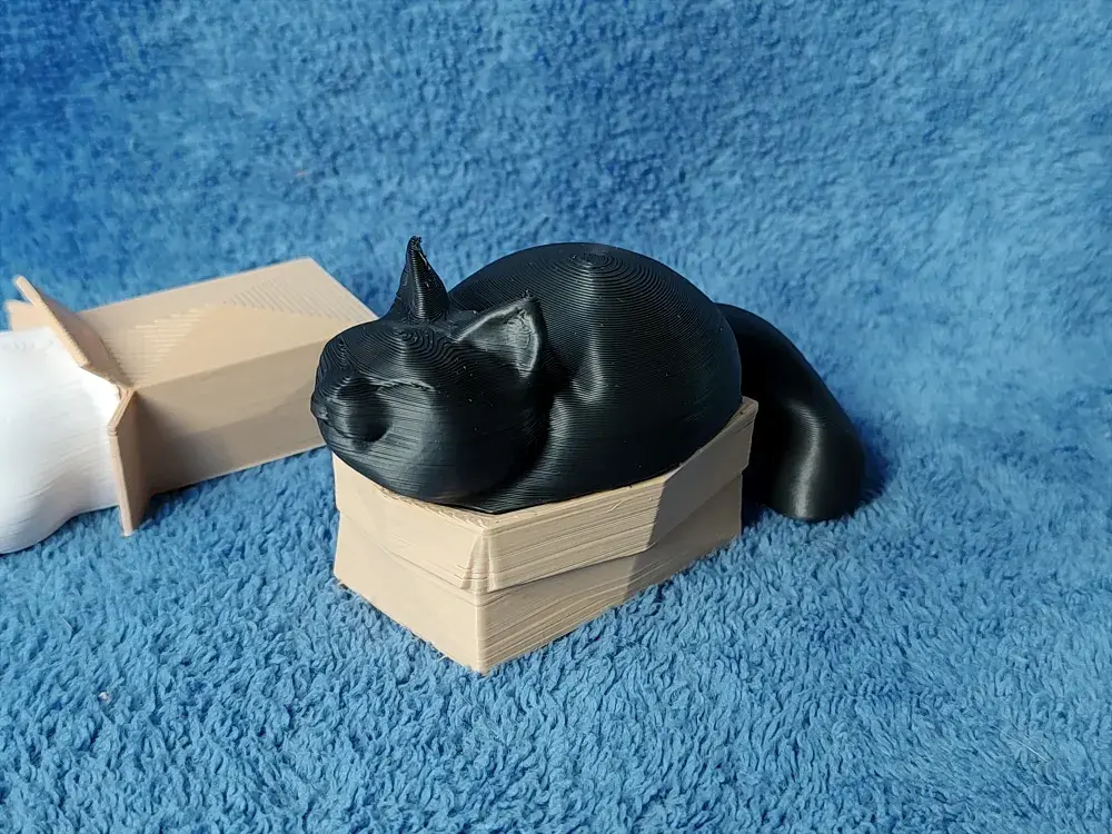 Cats in Boxes