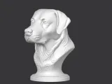 Labrador Retriever Bust-1