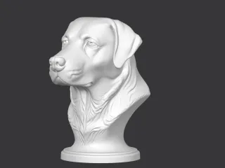 Labrador Retriever Bust