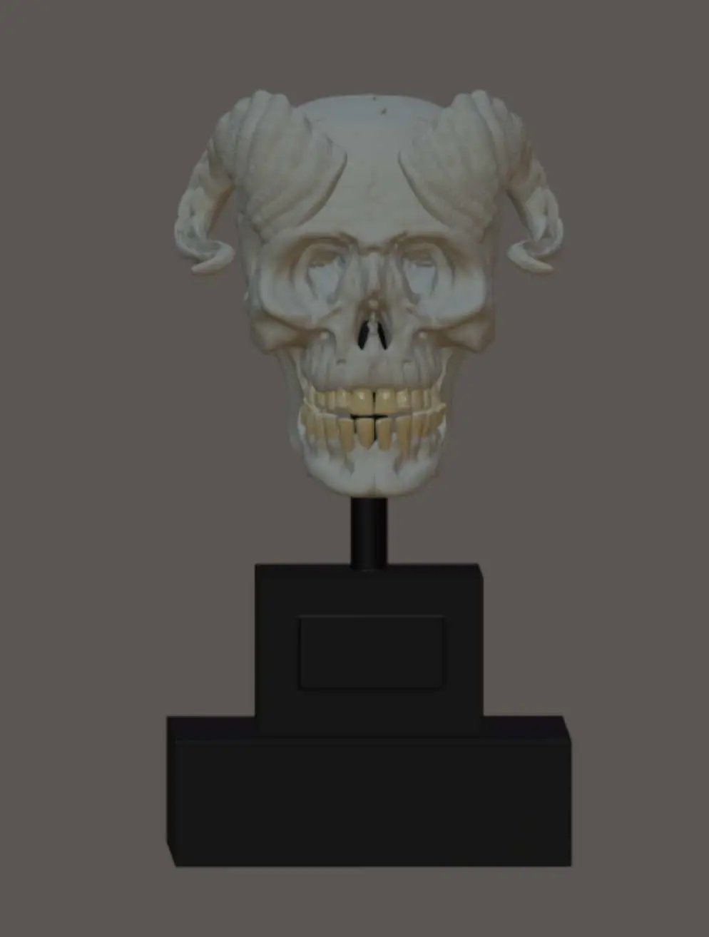 faun skull 