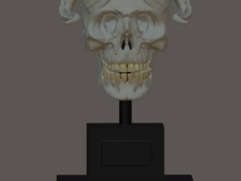 faun skull 