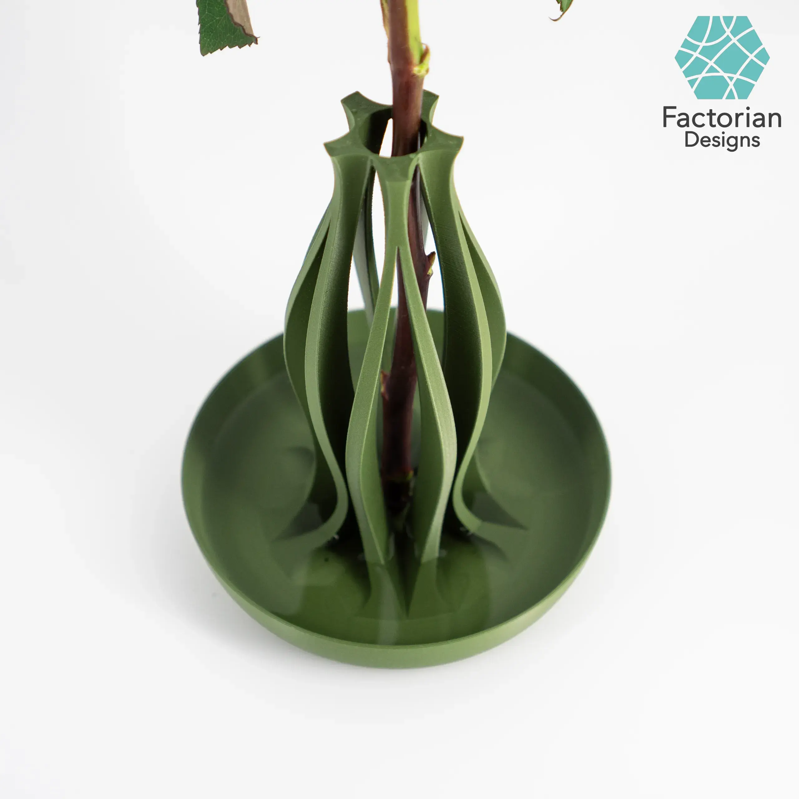 Mordern Vase "Emberflare" | Propagation Vase STL to 3D print