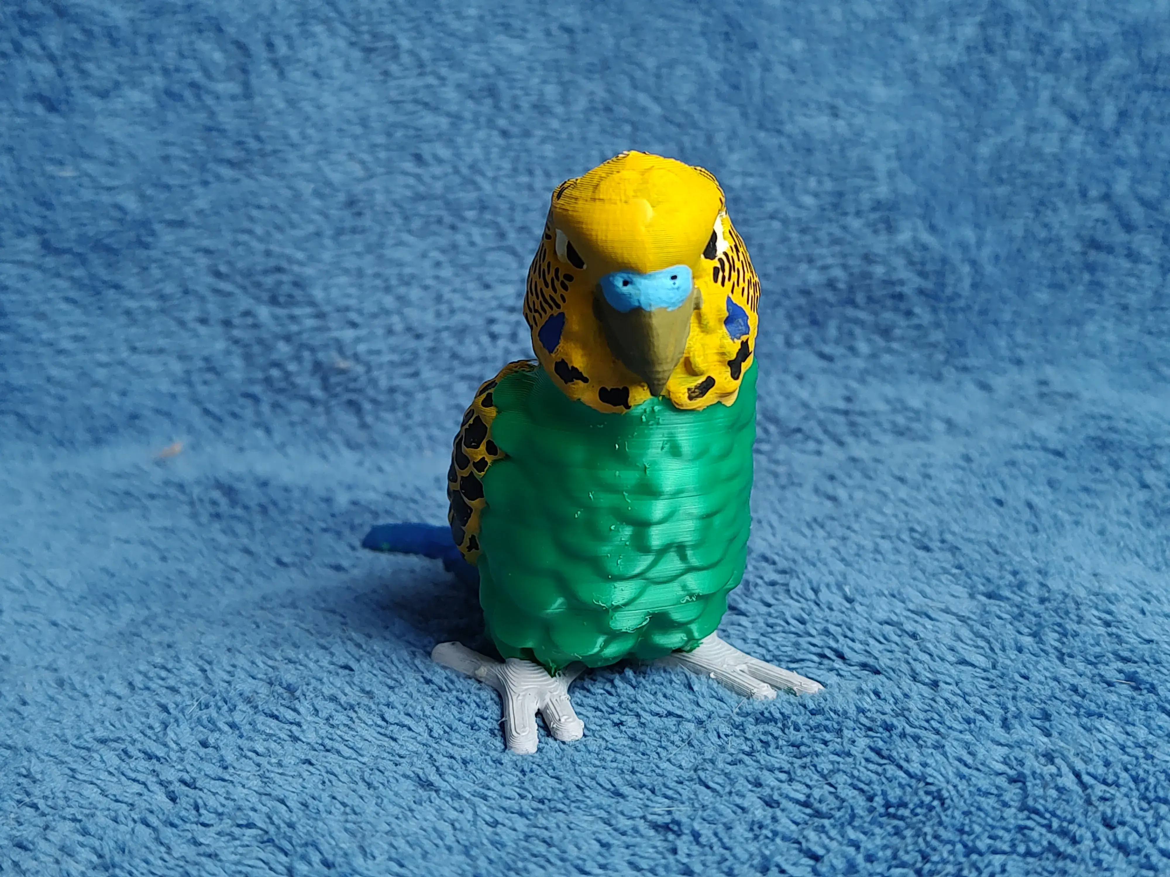 Budgie | 3D models download | Creality Cloud