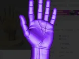 Human Hand with Base-0