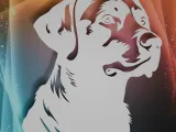 Labrador Retriever-0