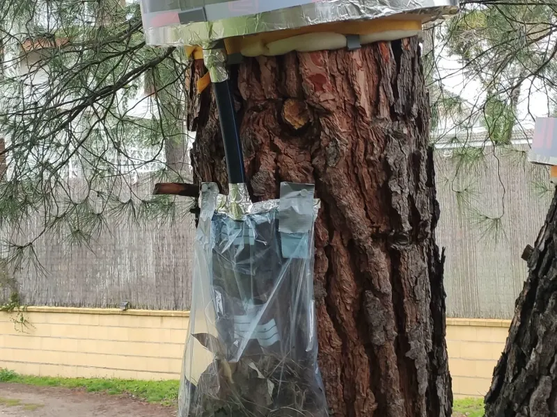 Kit trampa control plaga oruga procesionaria en pinos