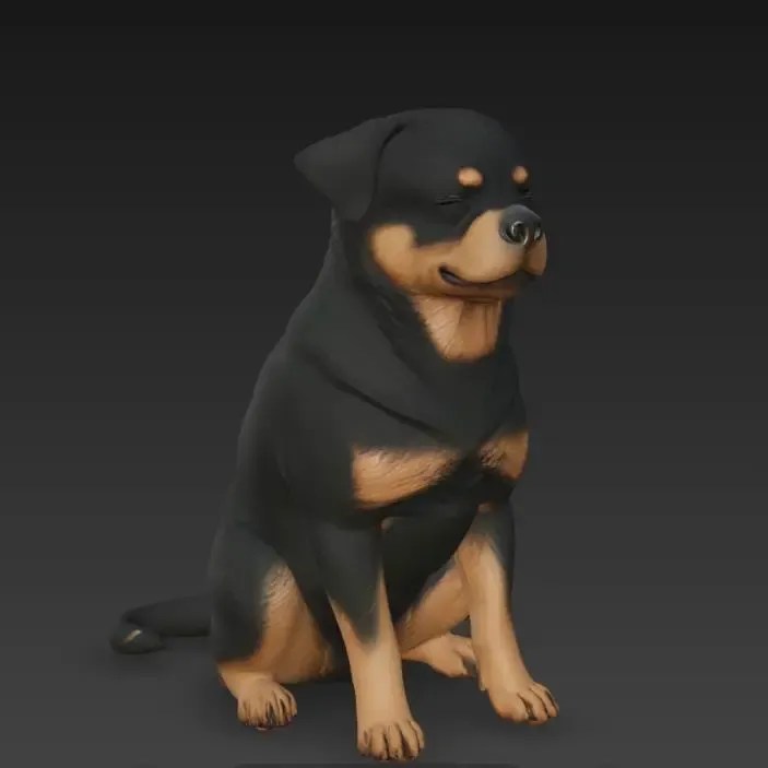 Smiling Rottweiler