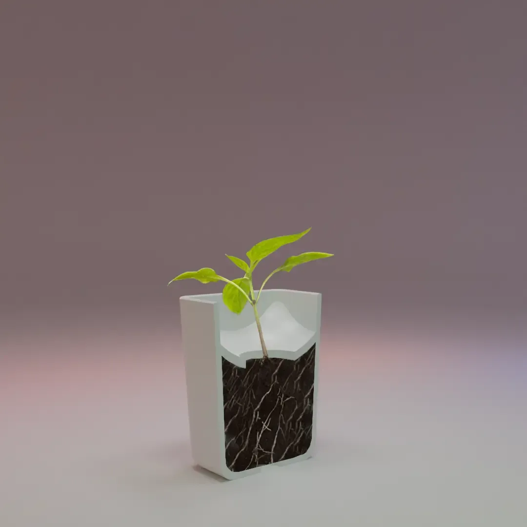 Confined Flower Pot For Cactus or Desktop Plant