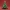 Tree Christmas