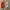 Christmas dwarf – Hangable Ornament / Wallart Decoration