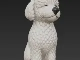 Smiling poodle-0