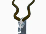 Mini Kudu Skull-1