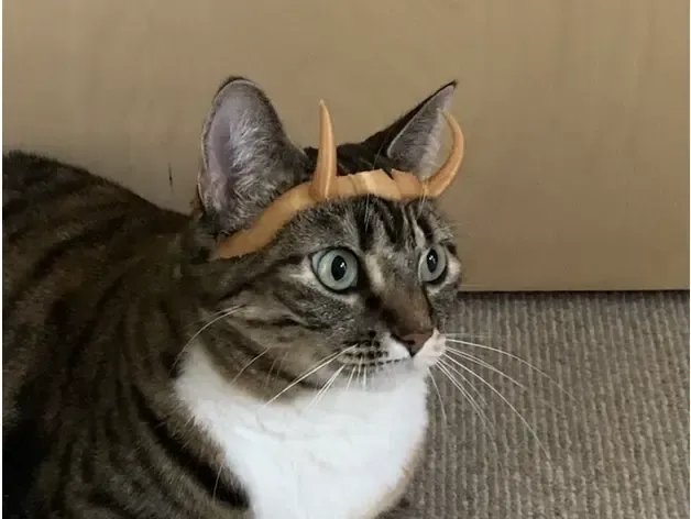 Cat Loki Crown